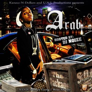 Arab-The_Package_(mixed_by_DJ_Noize)-2010